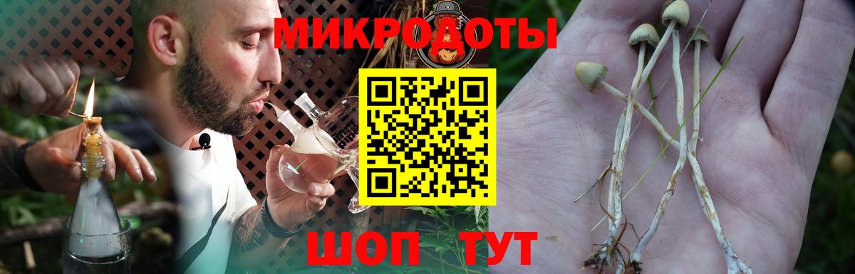 Добрянка  Псилоцибиновые грибы Cubensis  купить закладку  Вход с VPN 